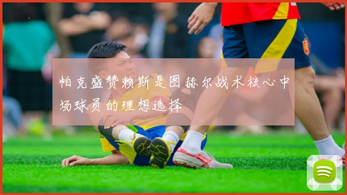 帕克盛赞赖斯是图赫尔战术核心中场球员的理想选择